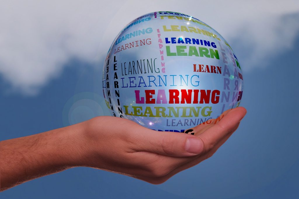 Adult education, to learn, training — How to Avoid Losses in Daman Game